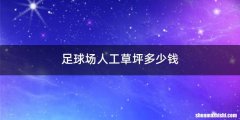 足球场人工草坪多少钱