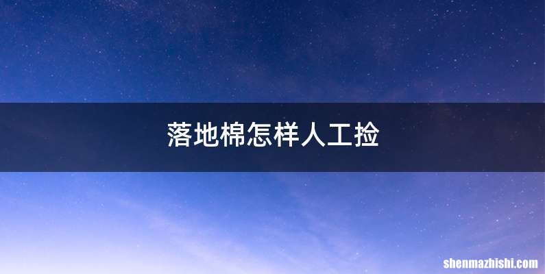 落地棉怎样人工捡