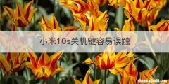 小米10s关机键容易误触