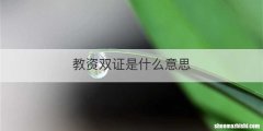 教资双证是什么意思