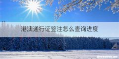 港澳通行证签注怎么查询进度