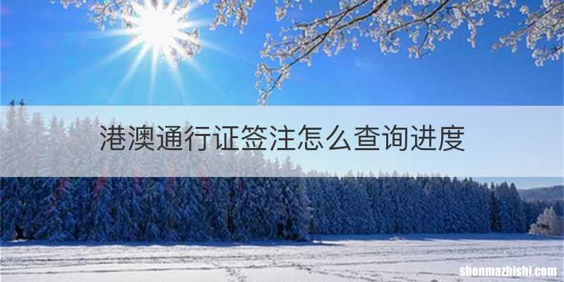 港澳通行证签注怎么查询进度