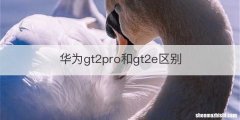 华为gt2pro和gt2e区别