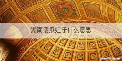 湖南话瓜娃子什么意思