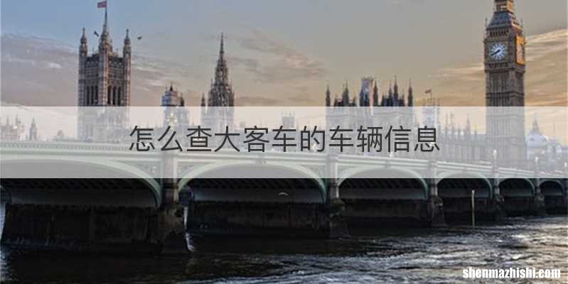 怎么查大客车的车辆信息