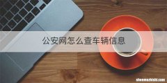 公安网怎么查车辆信息