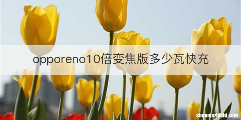 opporeno10倍变焦版多少瓦快充