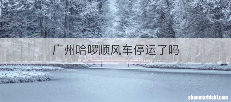 广州哈啰顺风车停运了吗