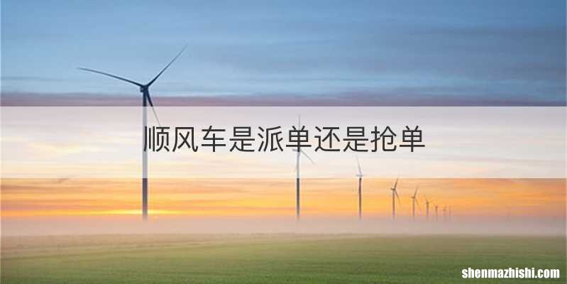 顺风车是派单还是抢单