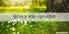 错付终生 孤独一生什么意思
