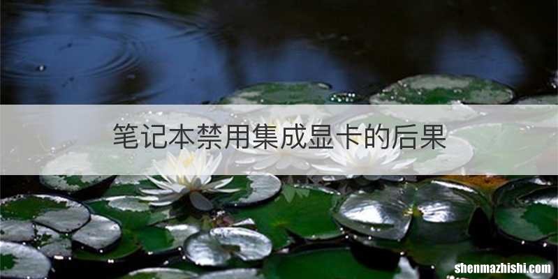 笔记本禁用集成显卡的后果