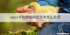 oppo手机照相识别文本怎么取消