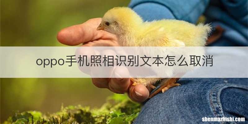 oppo手机照相识别文本怎么取消