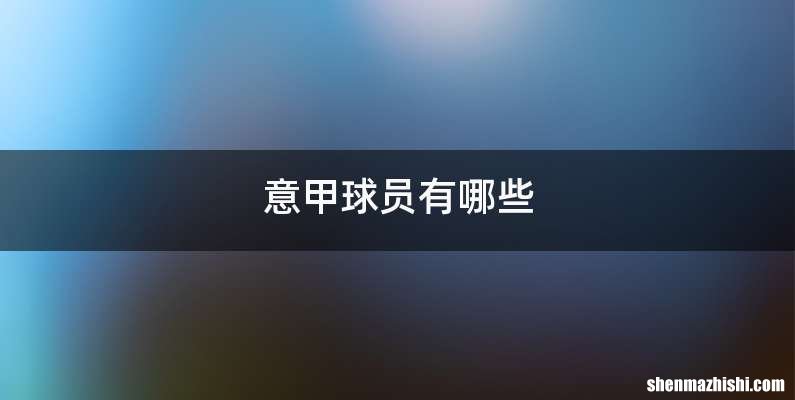 意甲球员有哪些