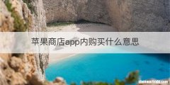 苹果商店app内购买什么意思