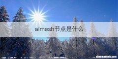 aimesh节点是什么