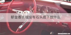 郁金香水培没有石头底下放什么