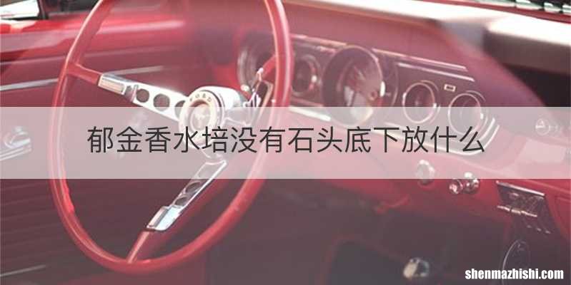 郁金香水培没有石头底下放什么