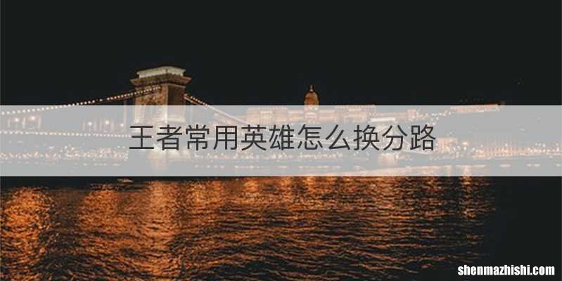 王者常用英雄怎么换分路