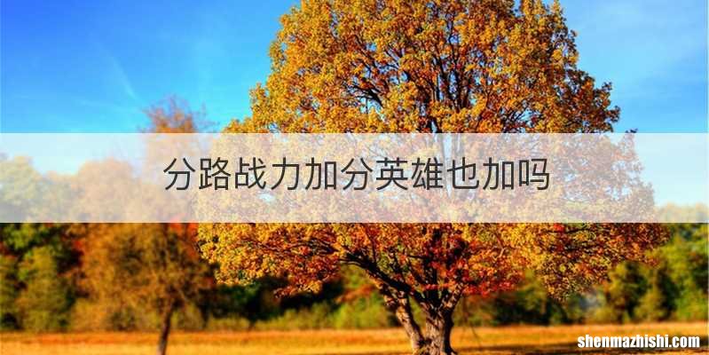 分路战力加分英雄也加吗