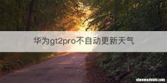 华为gt2pro不自动更新天气