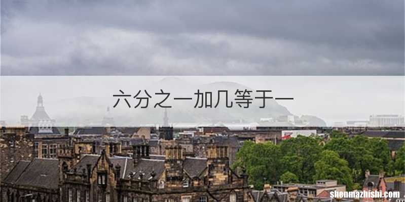 六分之一加几等于一