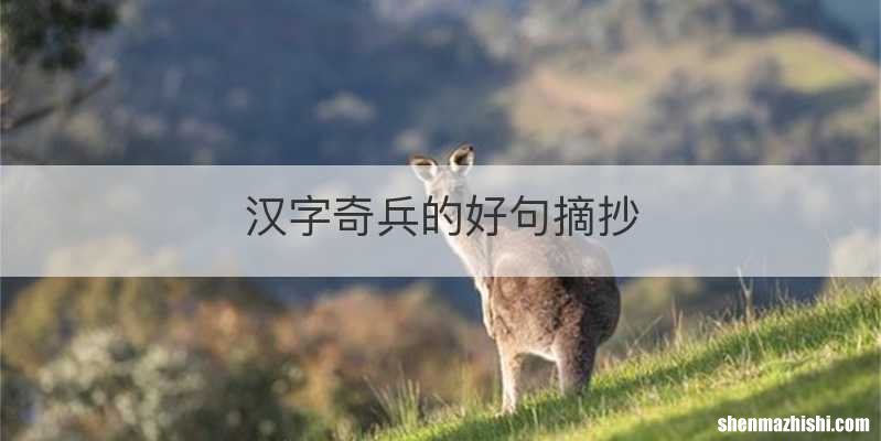 汉字奇兵的好句摘抄