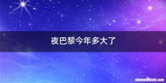 夜巴黎今年多大了