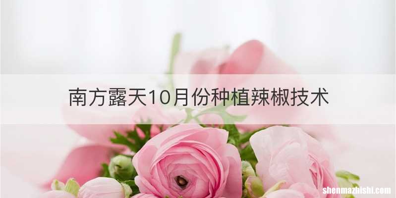 南方露天10月份种植辣椒技术