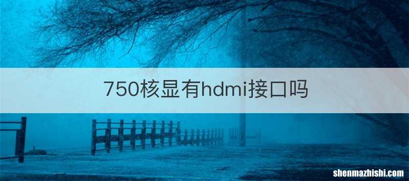 750核显有hdmi接口吗