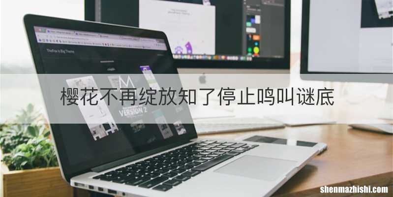 樱花不再绽放知了停止鸣叫谜底