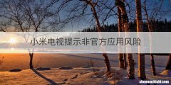 小米电视提示非官方应用风险