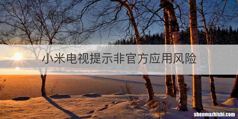 小米电视提示非官方应用风险