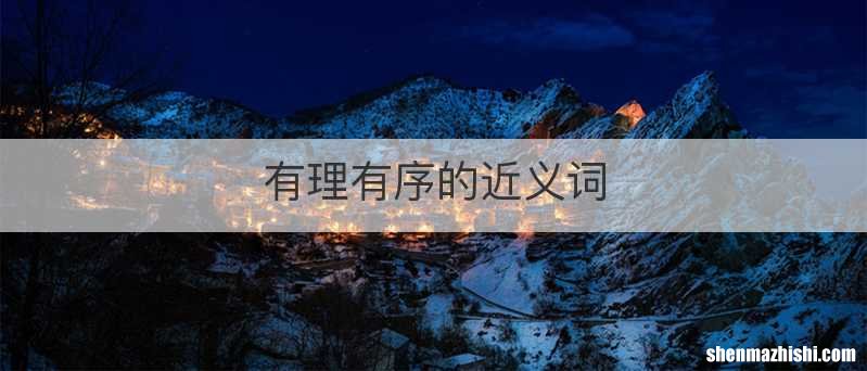 有理有序的近义词