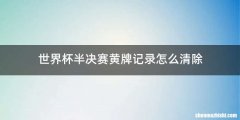 世界杯半决赛黄牌记录怎么清除