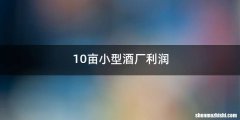 10亩小型酒厂利润