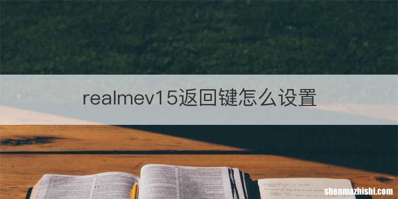 realmev15返回键怎么设置