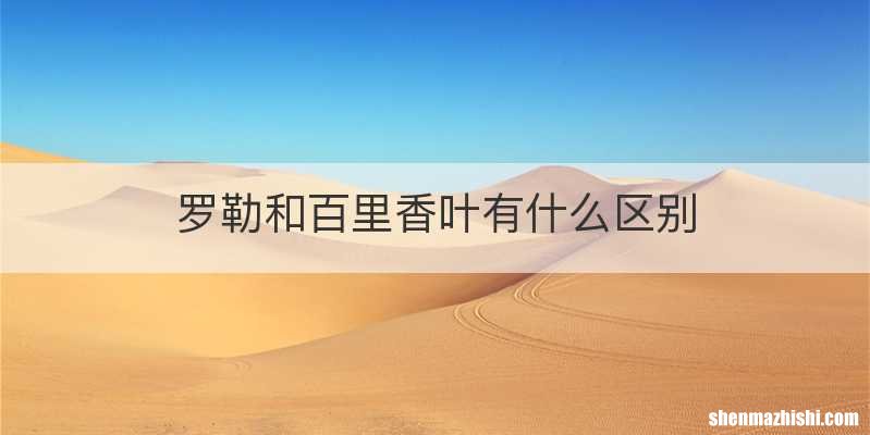 罗勒和百里香叶有什么区别