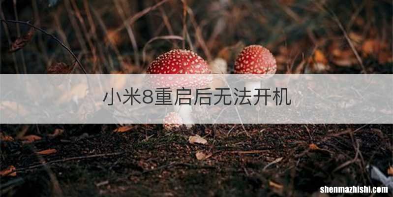 小米8重启后无法开机