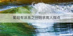葡超有派系之分吗求高人指点