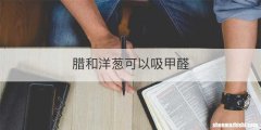 腊和洋葱可以吸甲醛