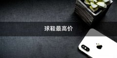 球鞋最高价