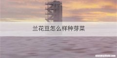 兰花豆怎么样种芽菜