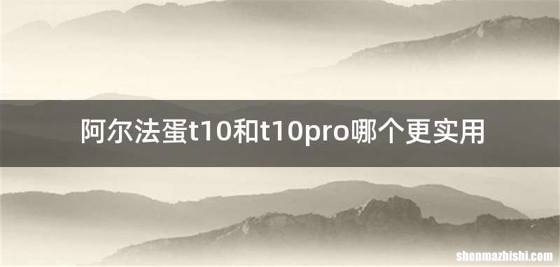 阿尔法蛋t10和t10pro哪个更实用