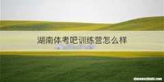 湖南体考吧训练营怎么样