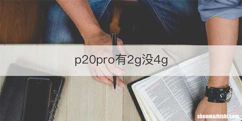 p20pro有2g没4g