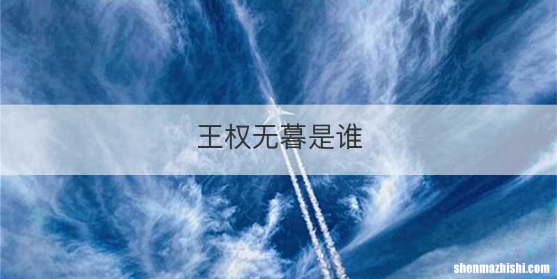 王权无暮是谁