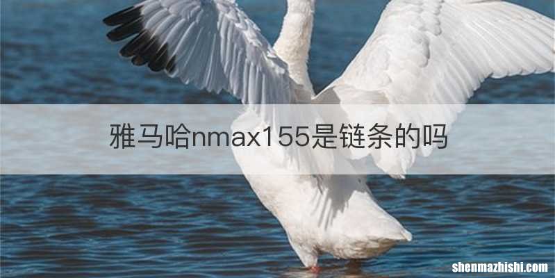 雅马哈nmax155是链条的吗
