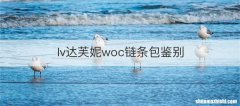lv达芙妮woc链条包鉴别