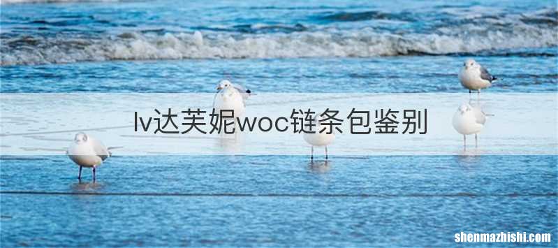 lv达芙妮woc链条包鉴别